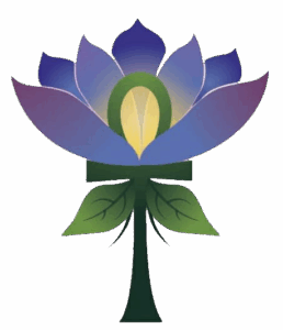 Hapi Valley Yoga